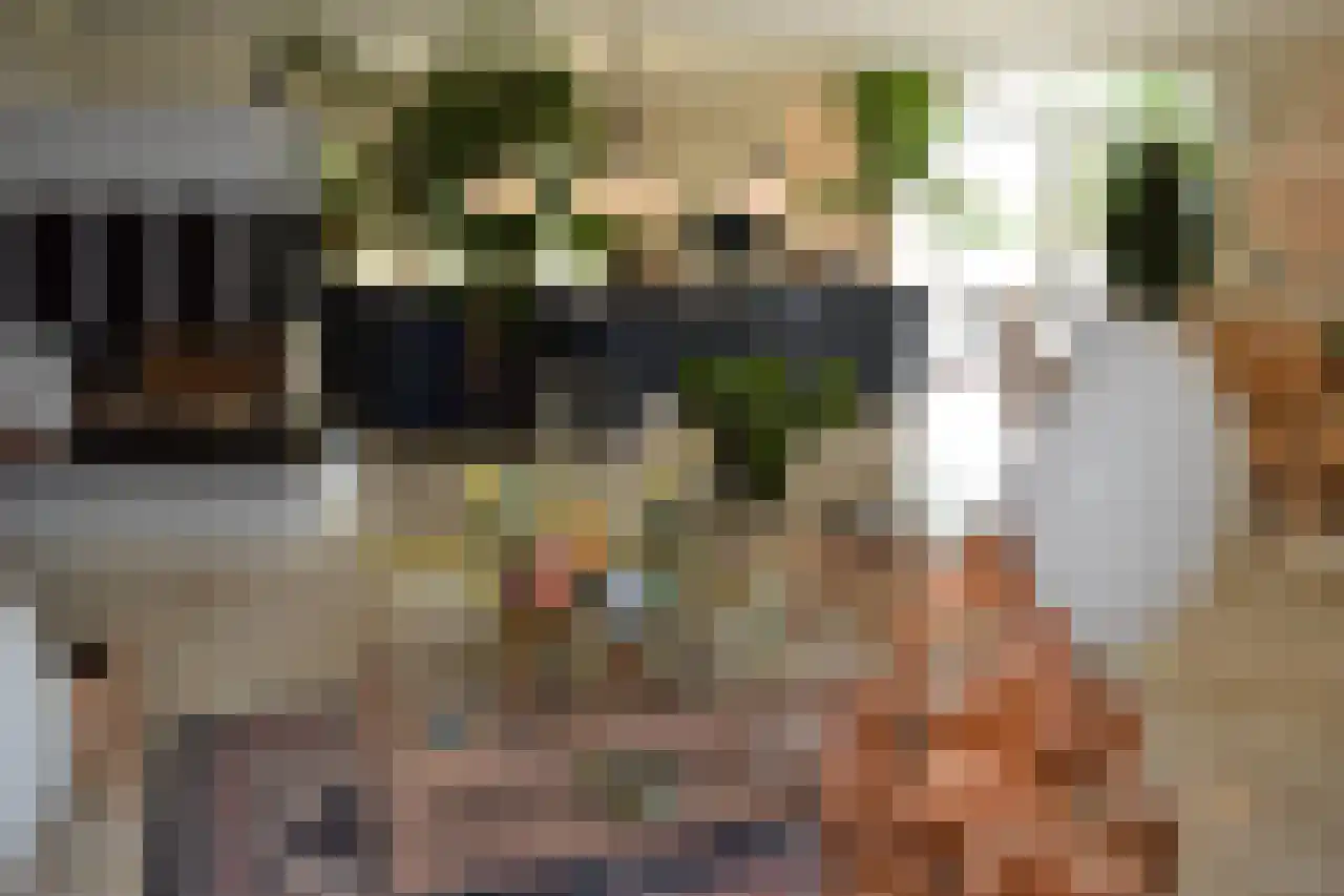 7 Augustusplantsoen 7 Oudewater thumbnail 12