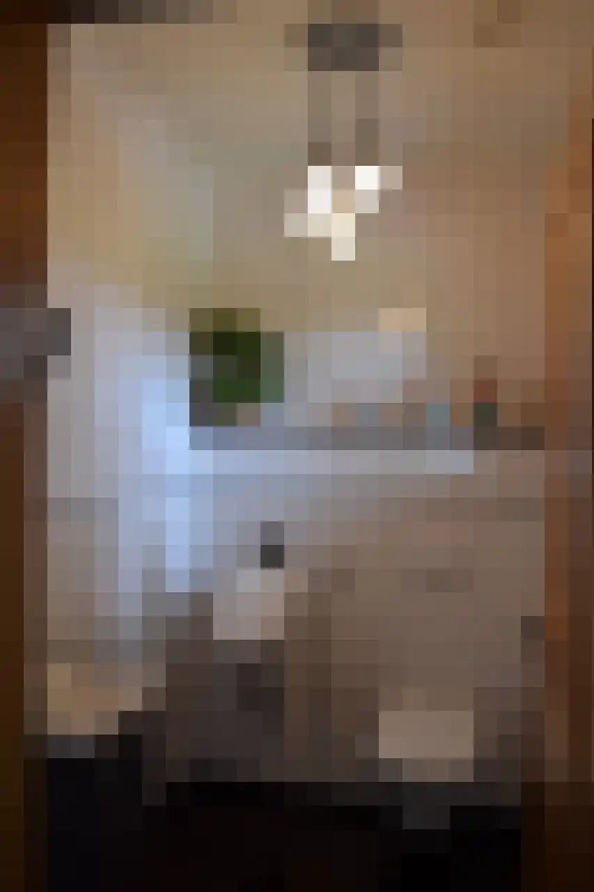 7 Augustusplantsoen 7 Oudewater thumbnail 17