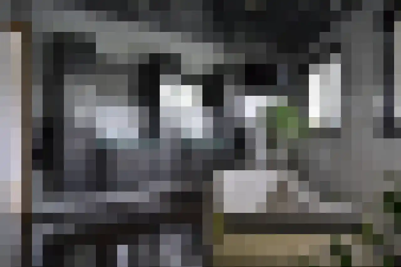 7 Augustusplantsoen 7 Oudewater thumbnail 18