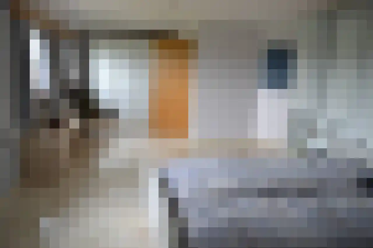 7 Augustusplantsoen 7 Oudewater thumbnail 19