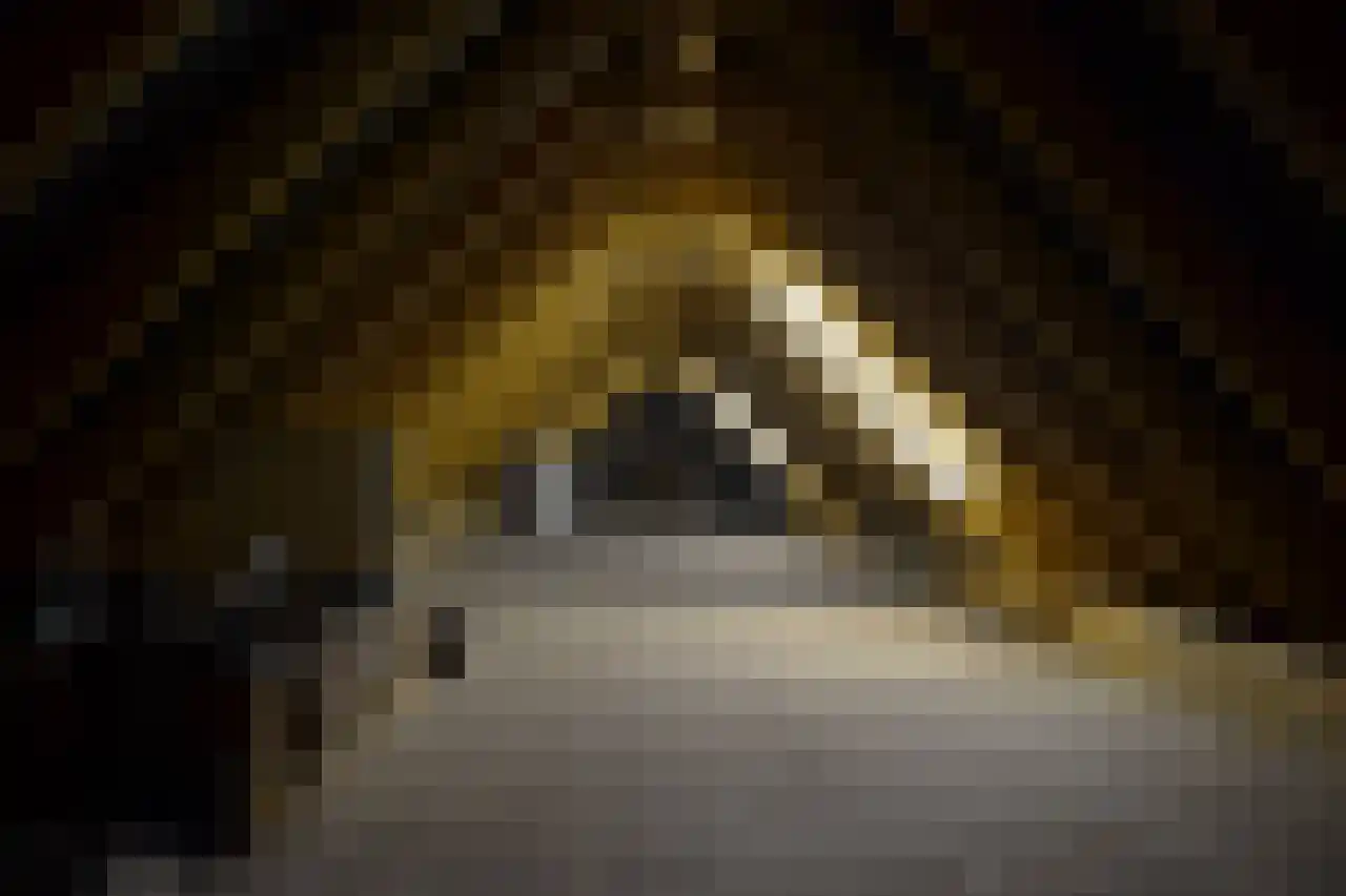 7 Augustusplantsoen 7 Oudewater thumbnail 20