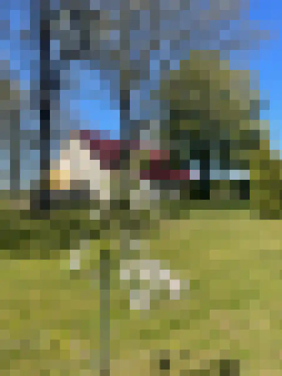 7 Augustusplantsoen 7 Oudewater thumbnail 4