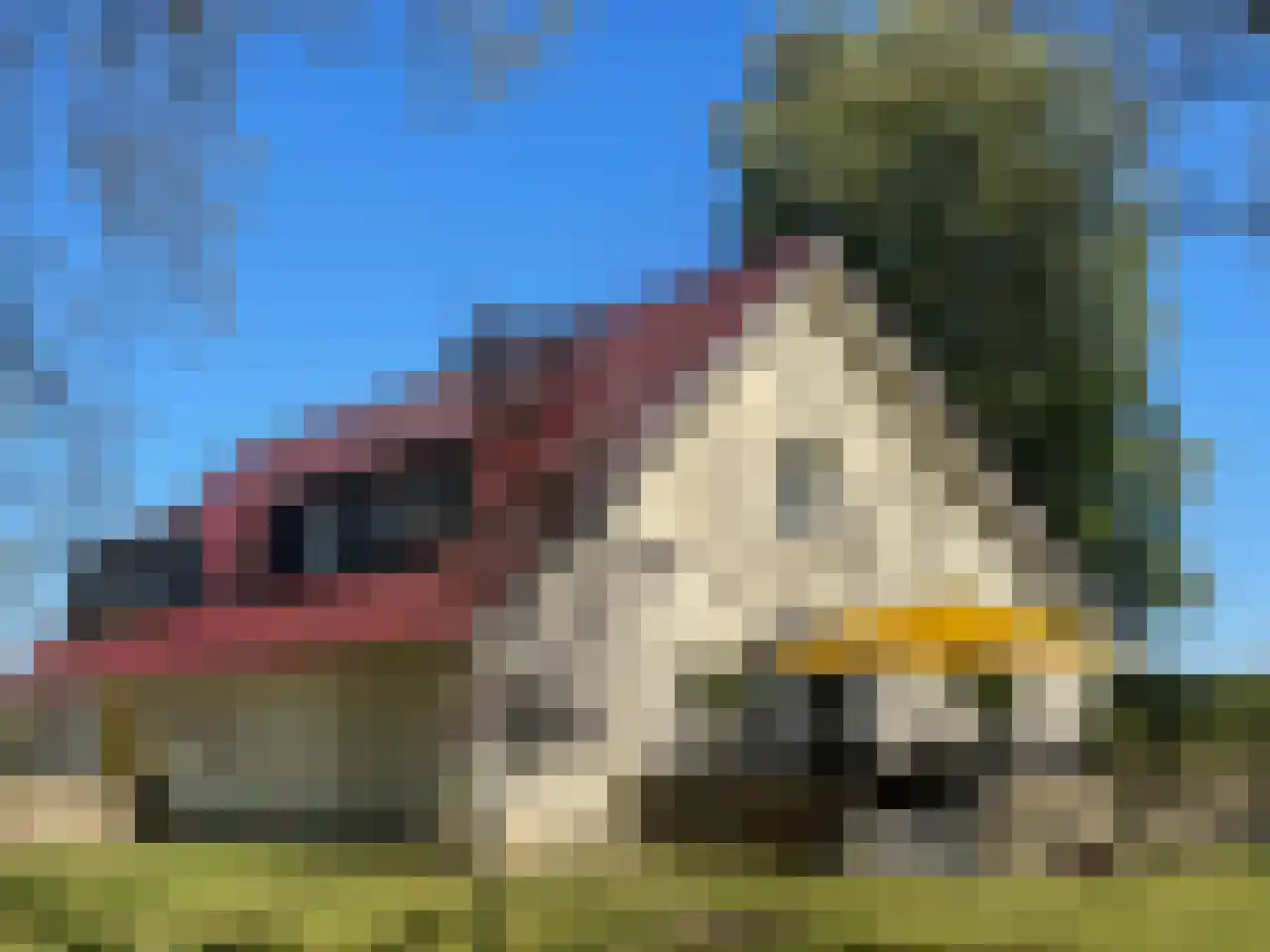 7 Augustusplantsoen 7 Oudewater thumbnail 5