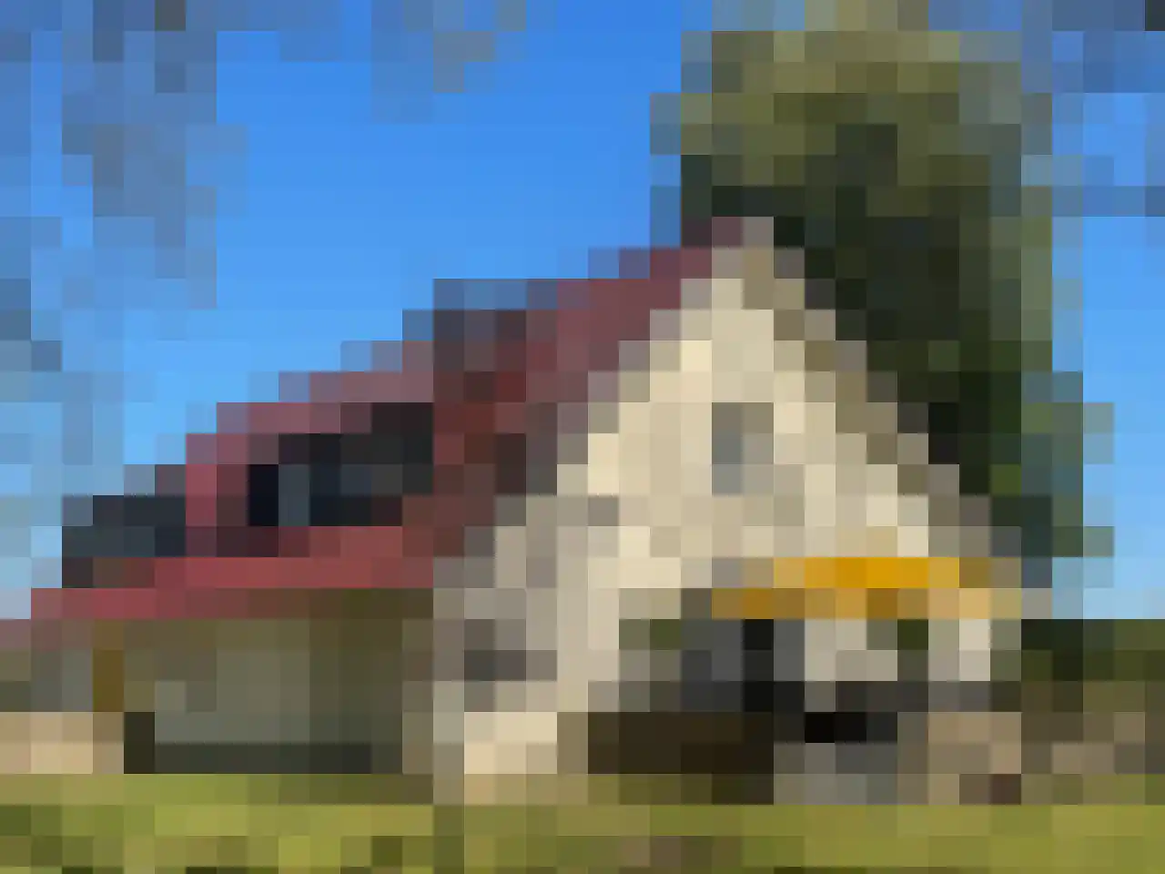 7 Augustusplantsoen 7 Oudewater thumbnail 5