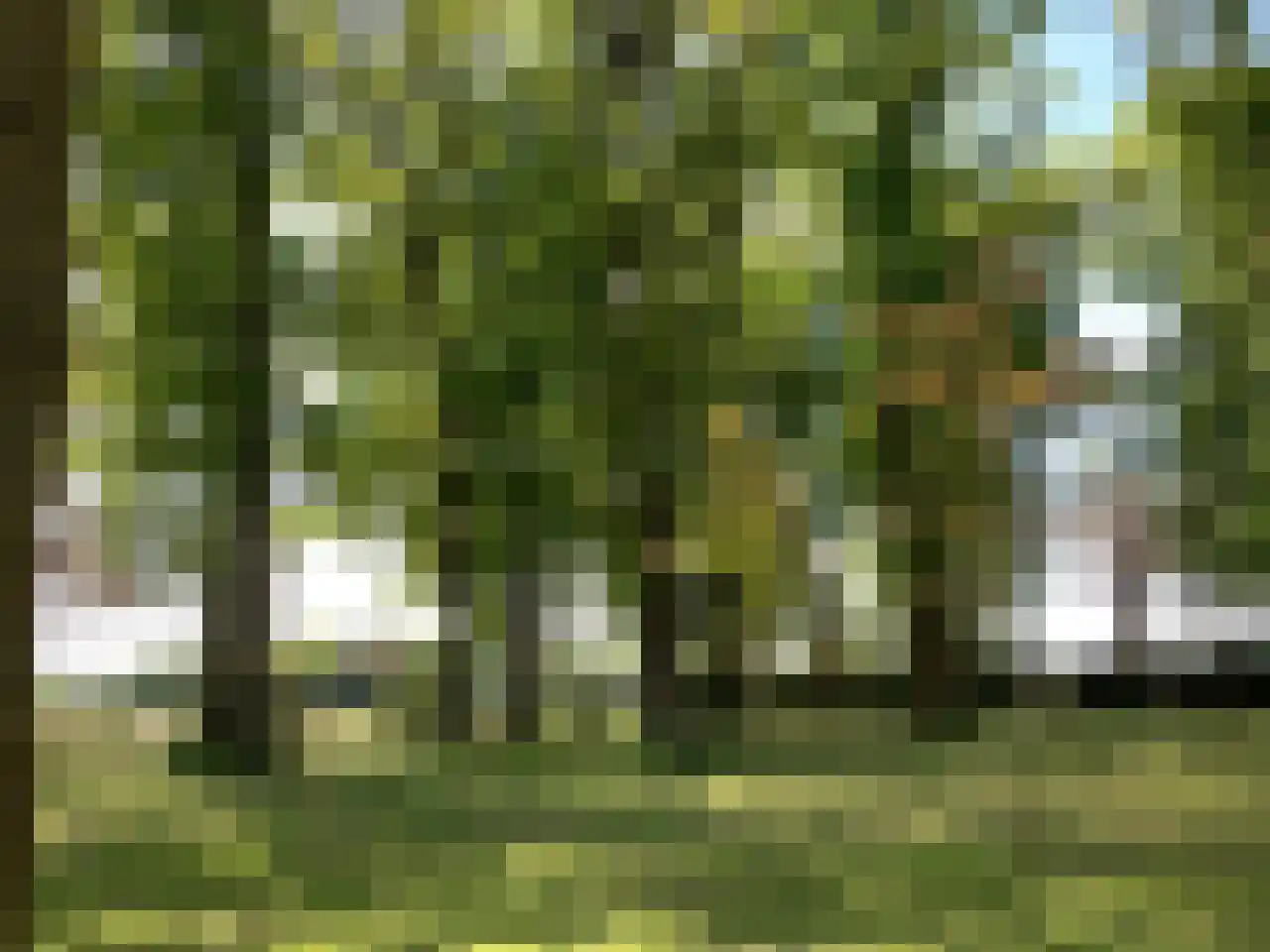 7 Augustusplantsoen 7 Oudewater thumbnail 8