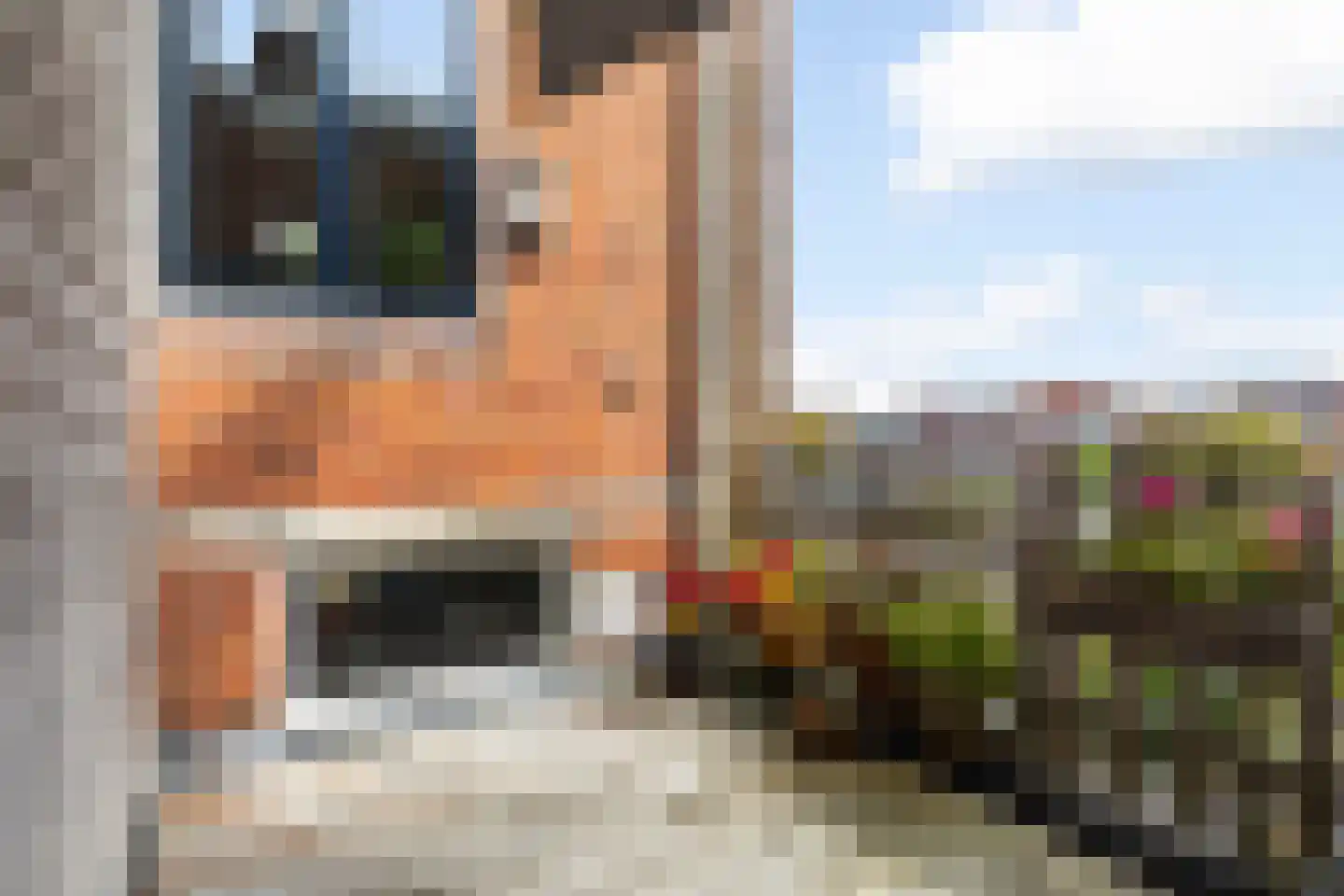 8e Vegelindwarsstraat 16 Leeuwarden thumbnail 18
