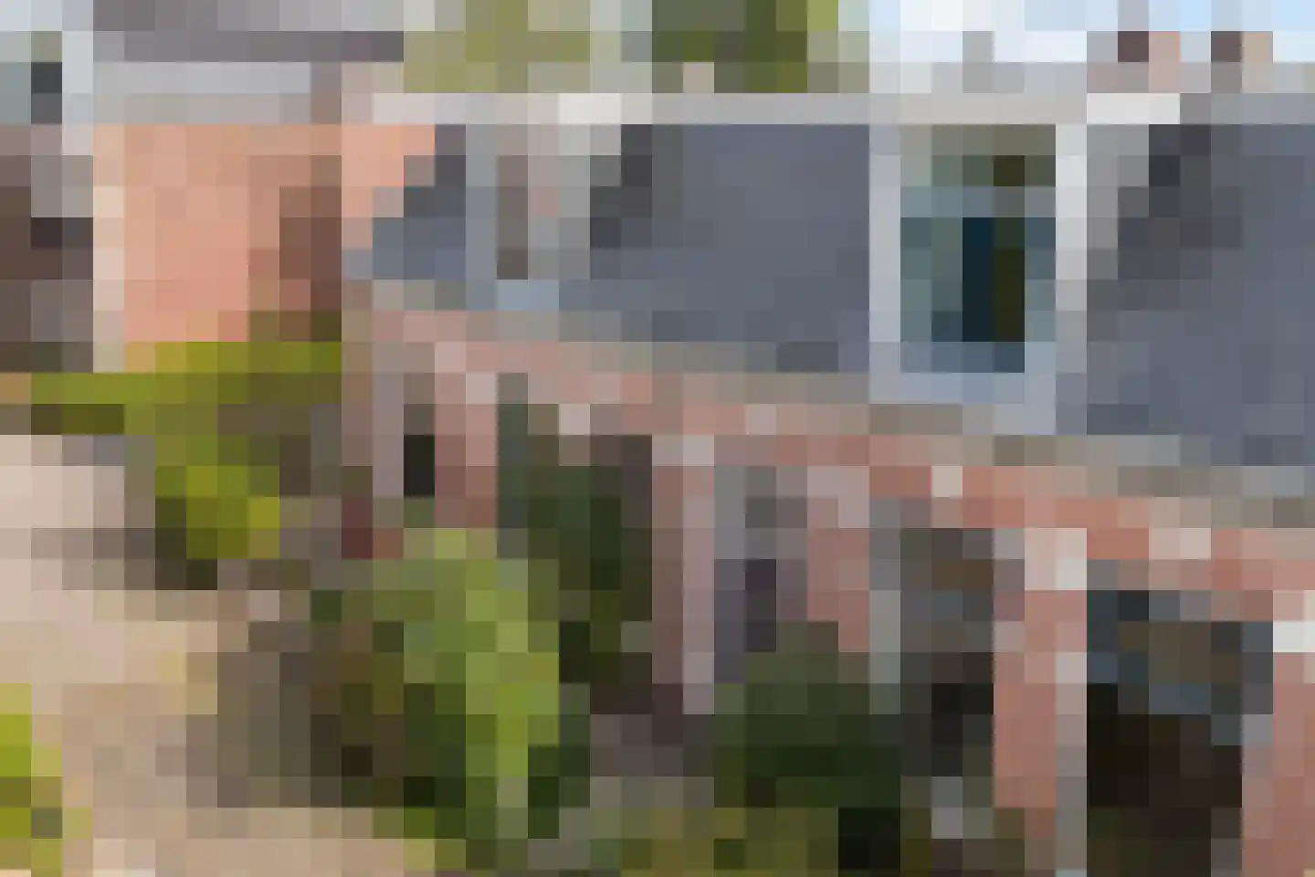 8e Vegelindwarsstraat 16 Leeuwarden thumbnail 40