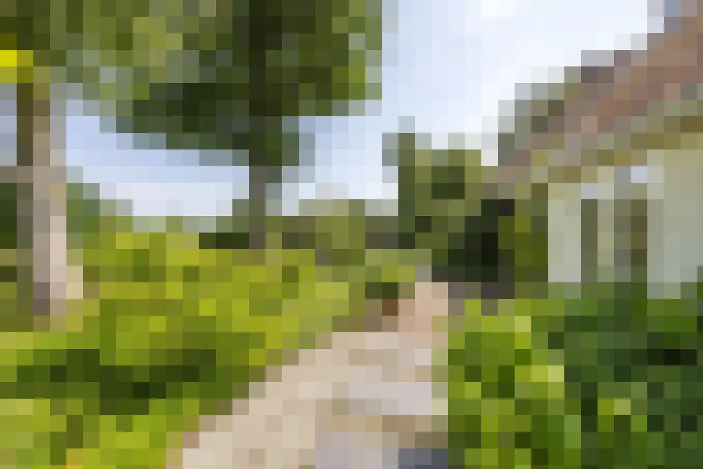 8e Wijk 8 Oudehorne thumbnail 11
