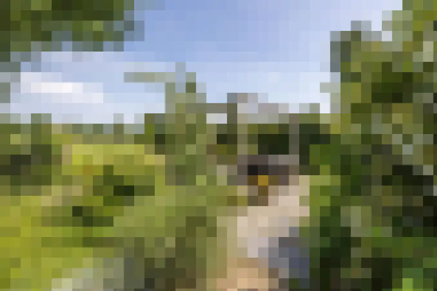 8e Wijk 8 Oudehorne thumbnail 12