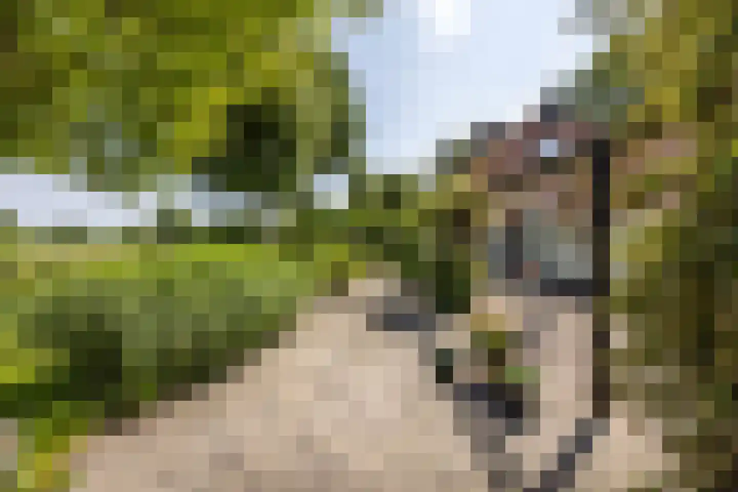 8e Wijk 8 Oudehorne thumbnail 13