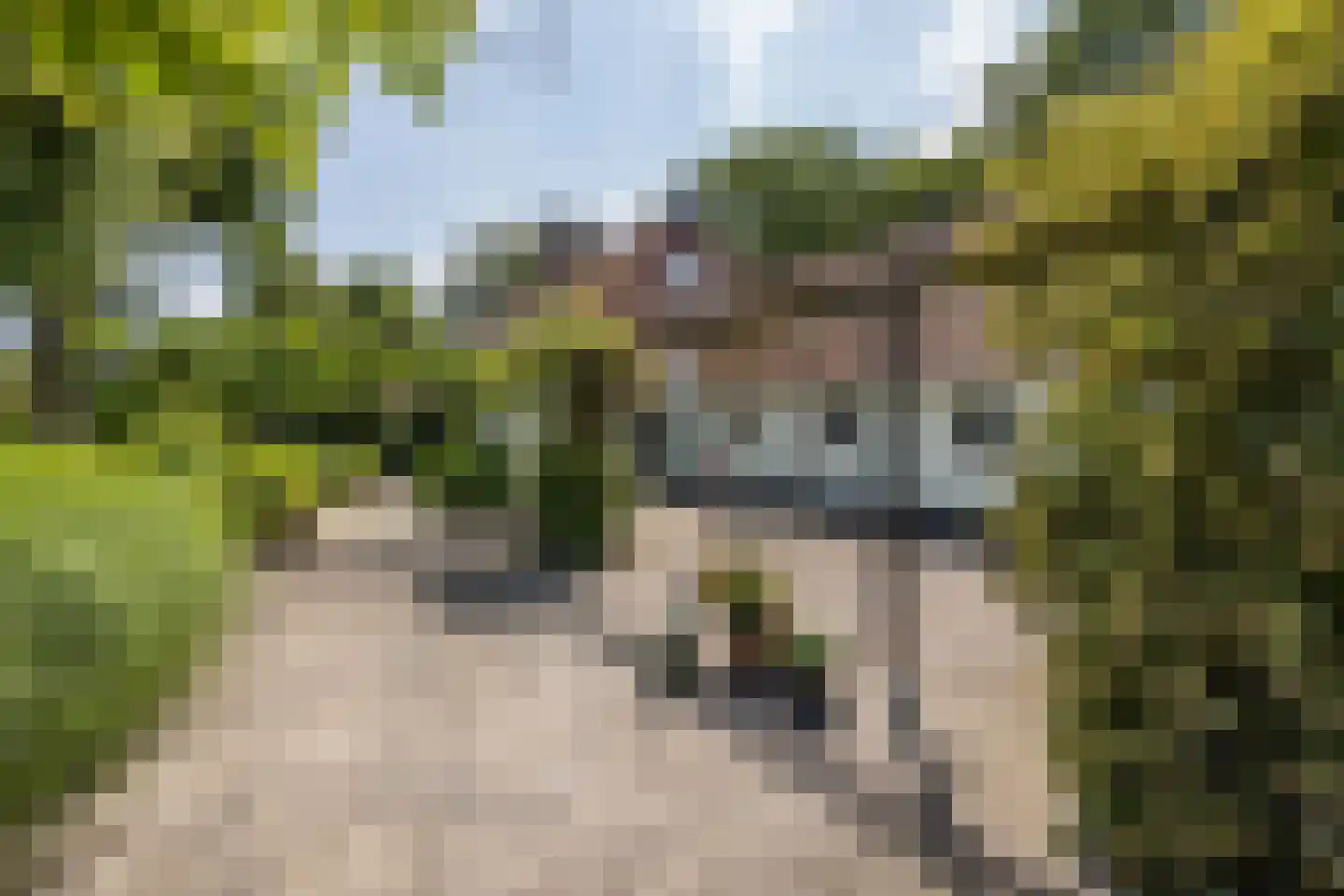 8e Wijk 8 Oudehorne thumbnail 14