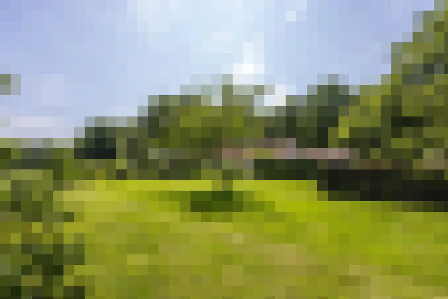 8e Wijk 8 Oudehorne thumbnail 18