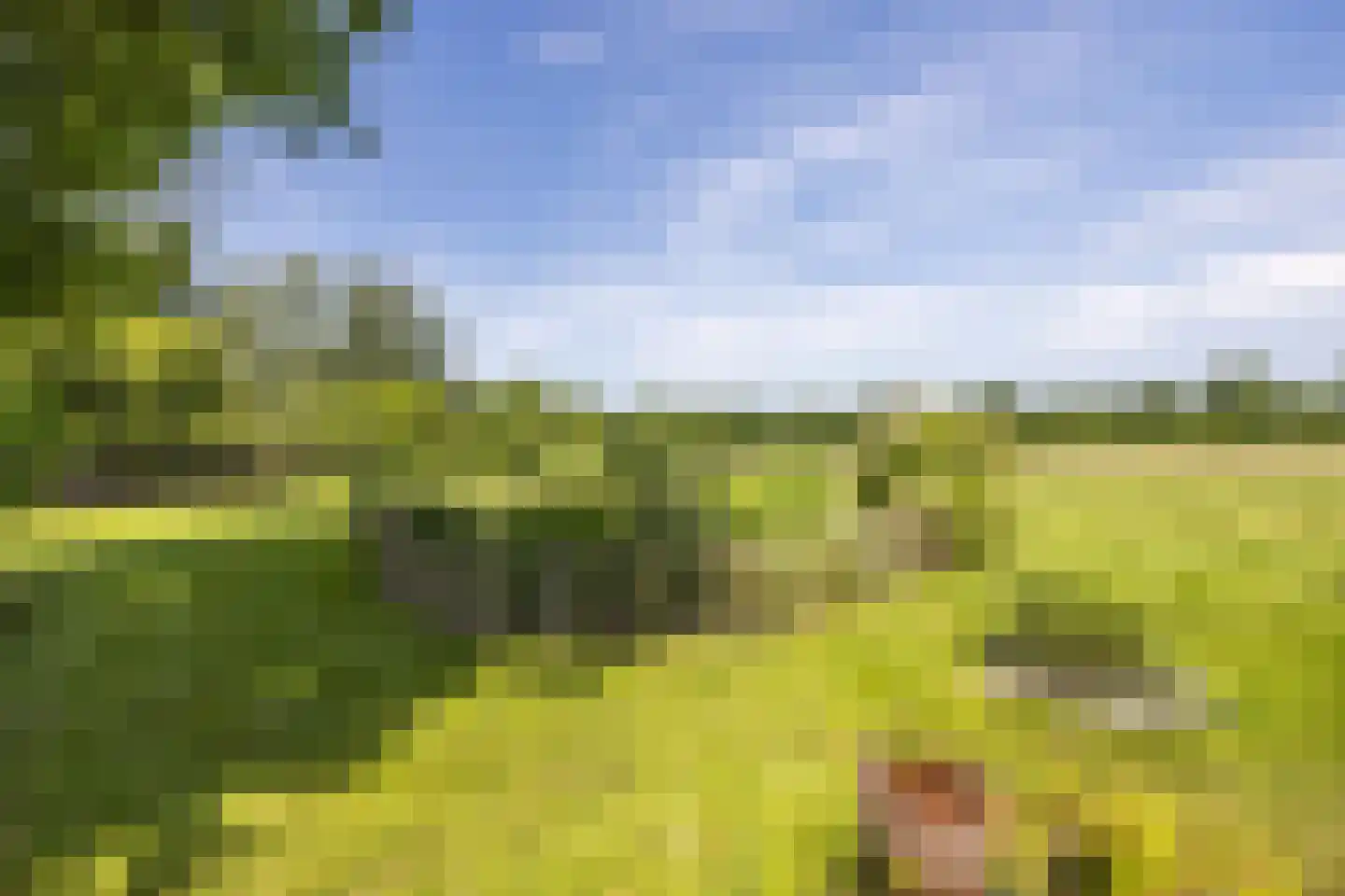 8e Wijk 8 Oudehorne thumbnail 19