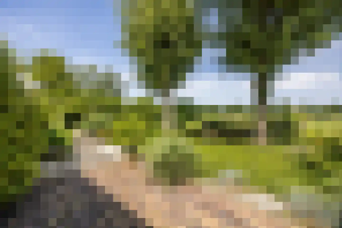 8e Wijk 8 Oudehorne thumbnail 20