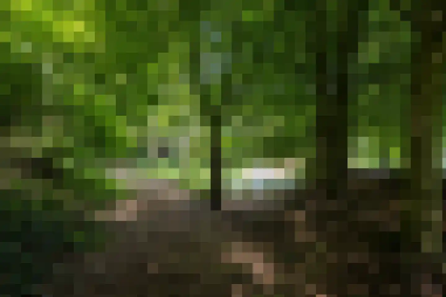 8e Wijk 8 Oudehorne thumbnail 21