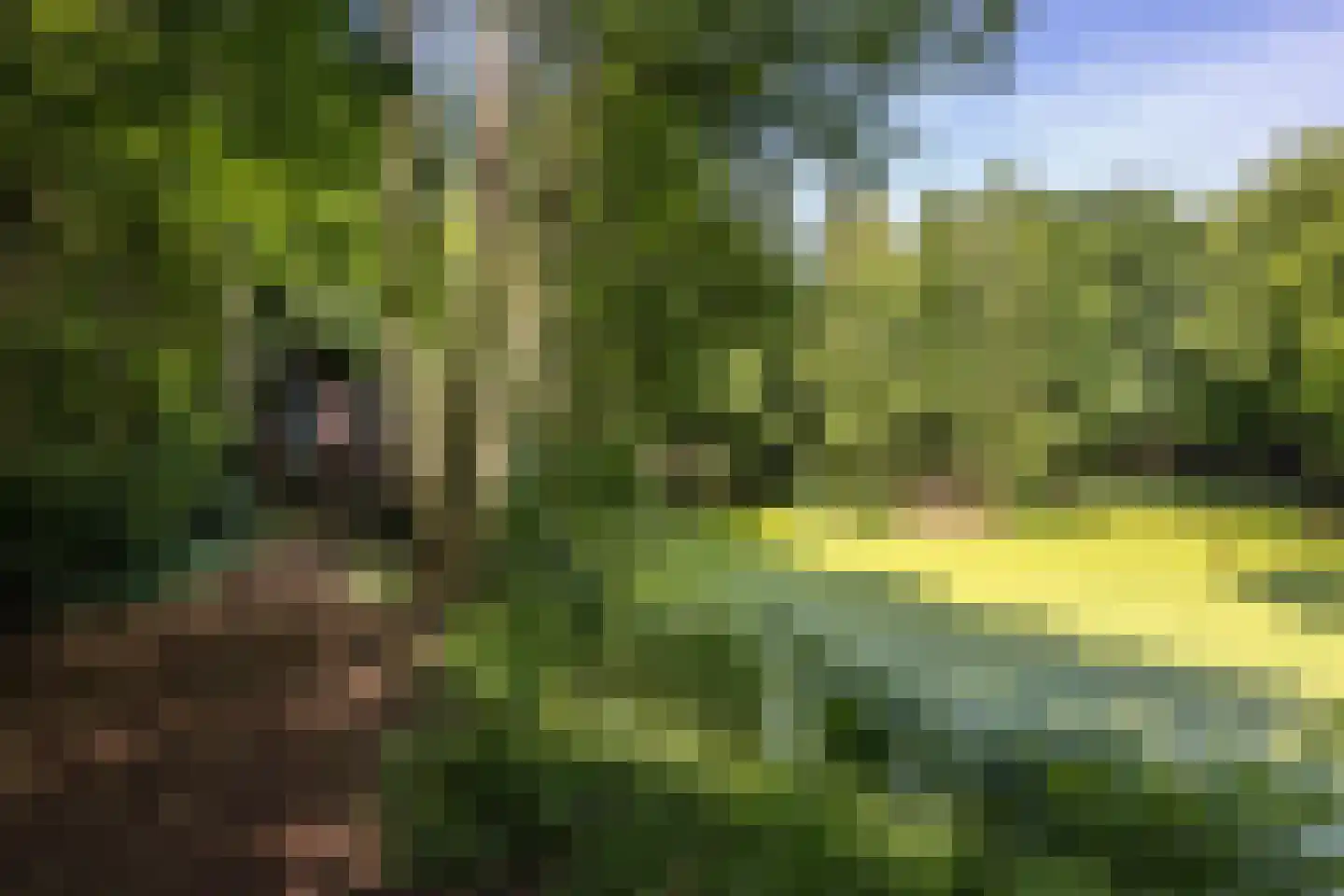 8e Wijk 8 Oudehorne thumbnail 22