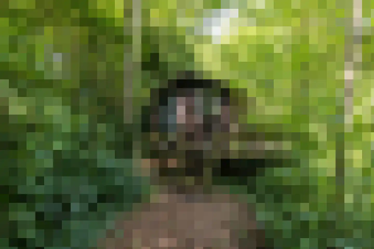 8e Wijk 8 Oudehorne thumbnail 23