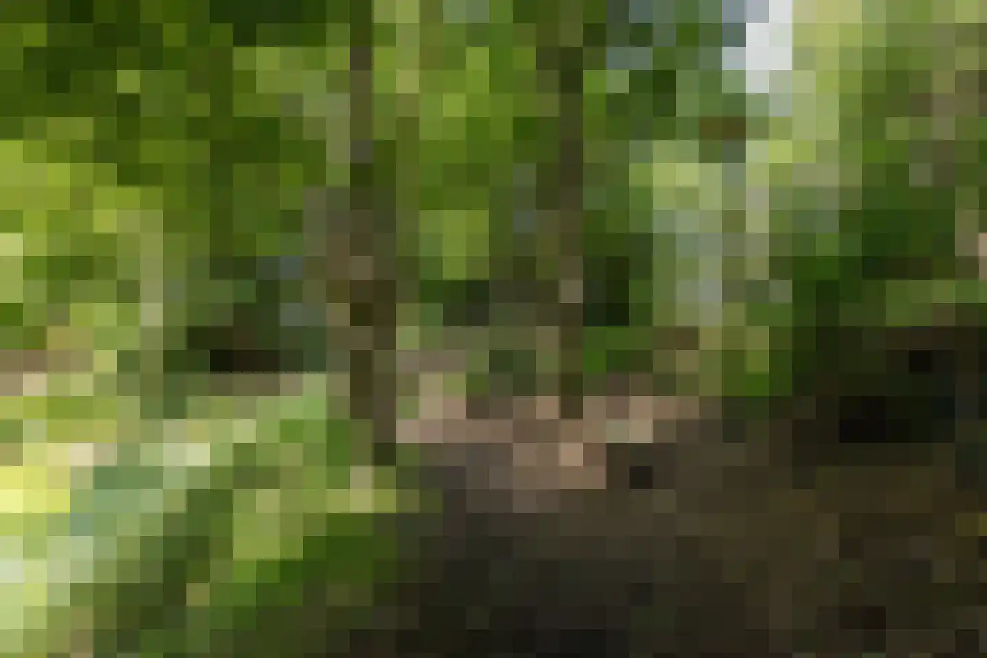 8e Wijk 8 Oudehorne thumbnail 24