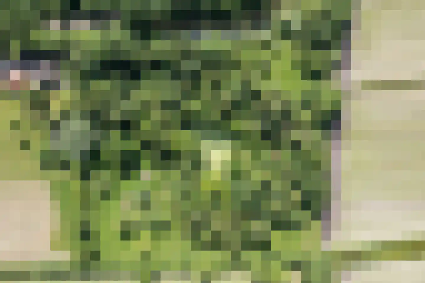 8e Wijk 8 Oudehorne thumbnail 25