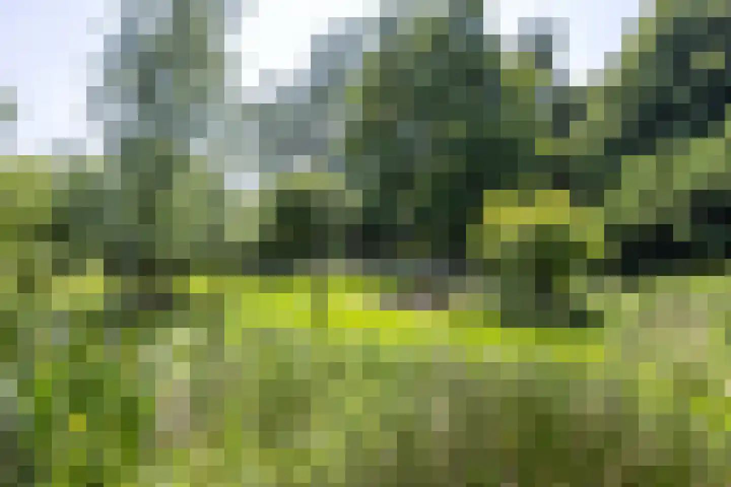 8e Wijk 8 Oudehorne thumbnail 26