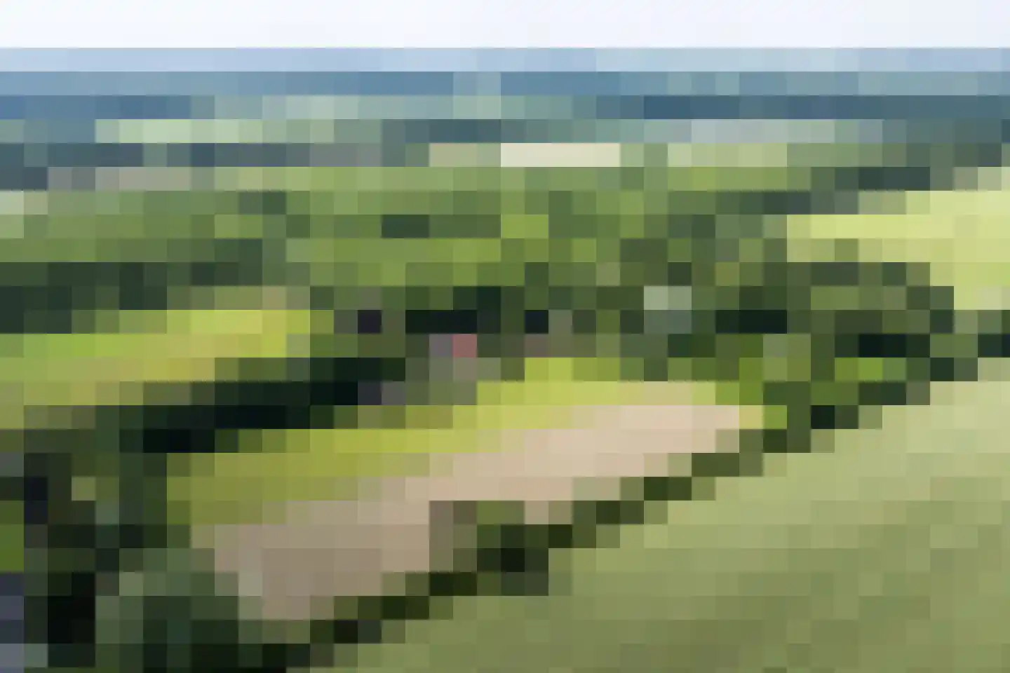 8e Wijk 8 Oudehorne foto 3