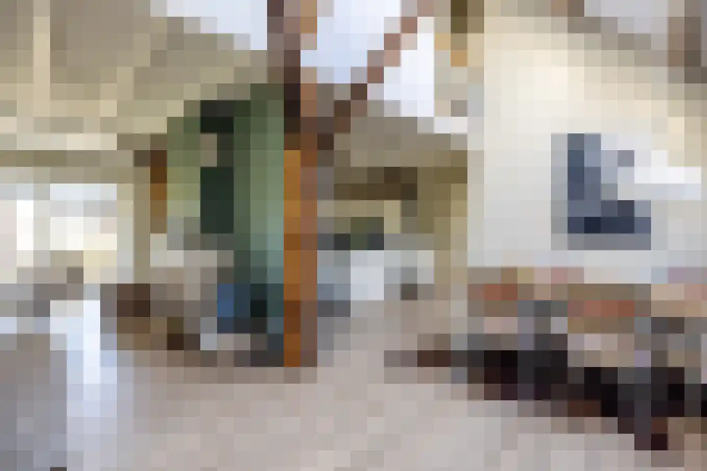 8e Wijk 8 Oudehorne thumbnail 35