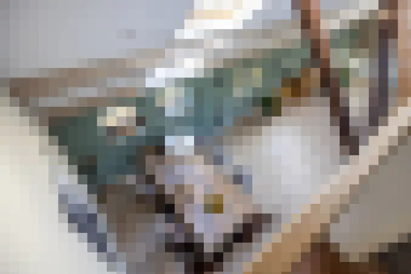 8e Wijk 8 Oudehorne thumbnail 39