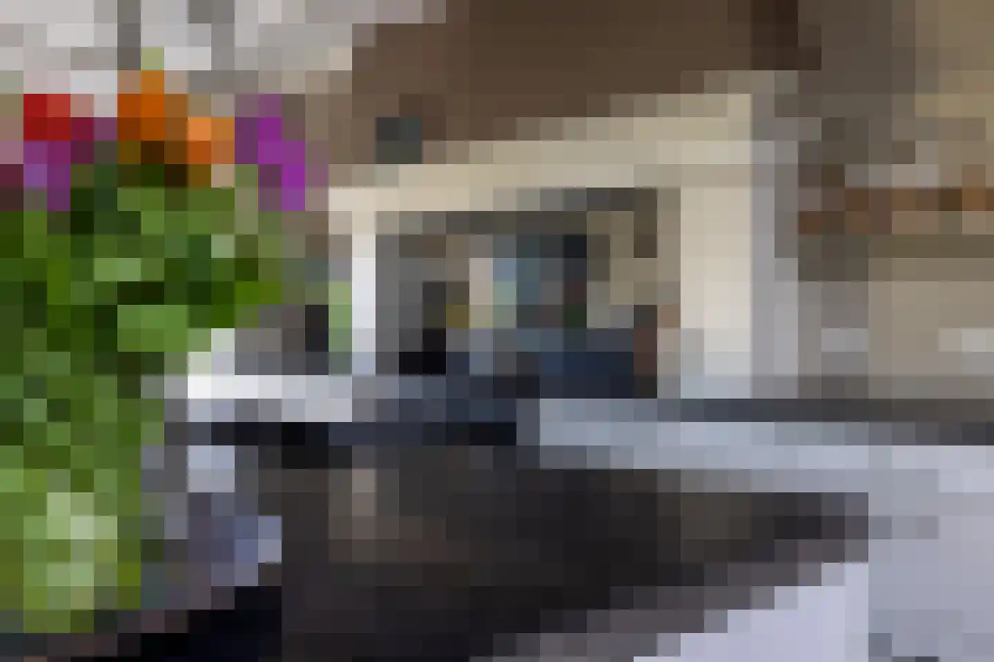 8e Wijk 8 Oudehorne thumbnail 42