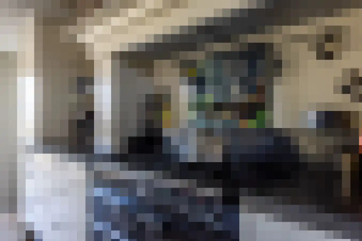8e Wijk 8 Oudehorne thumbnail 43