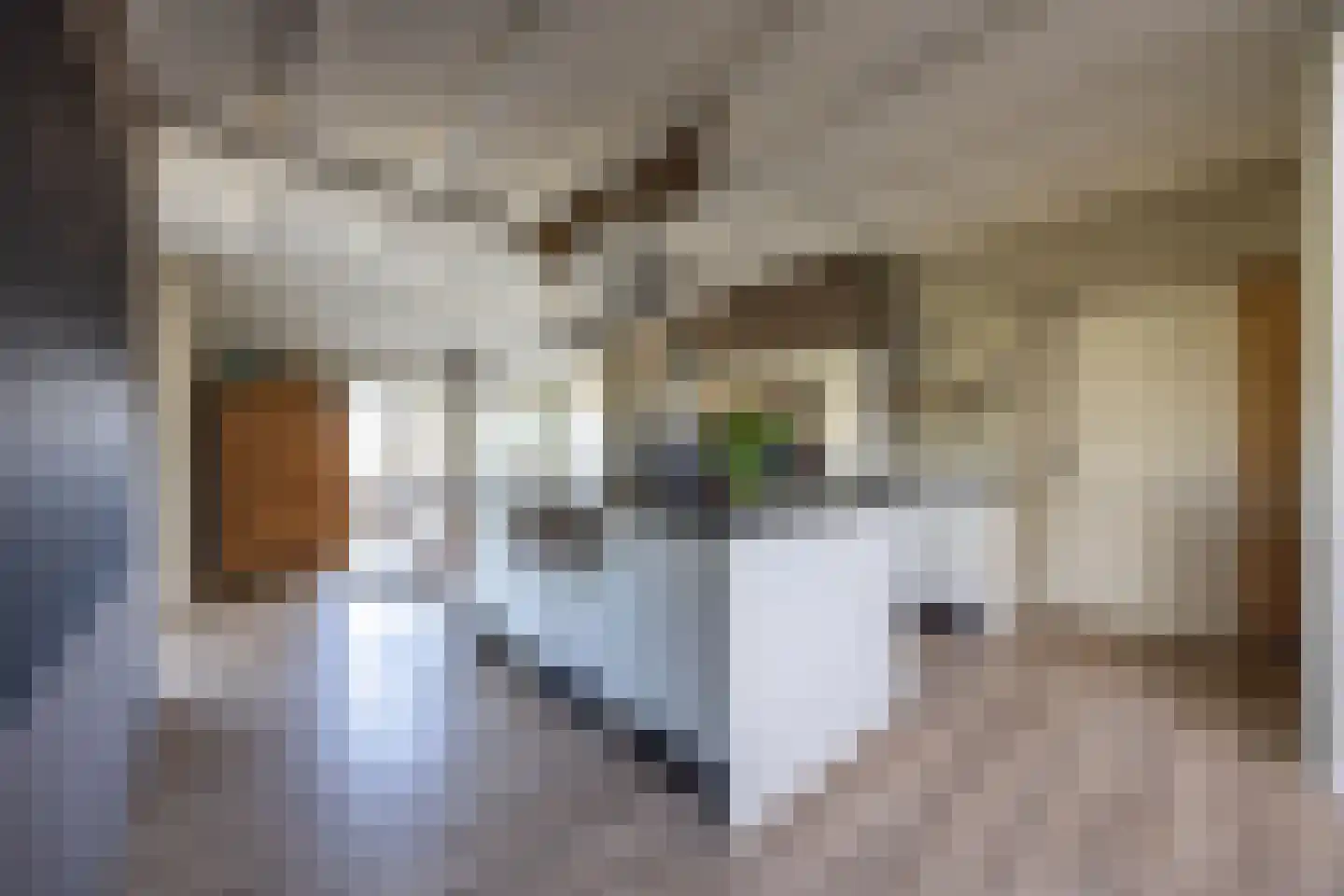 8e Wijk 8 Oudehorne thumbnail 44