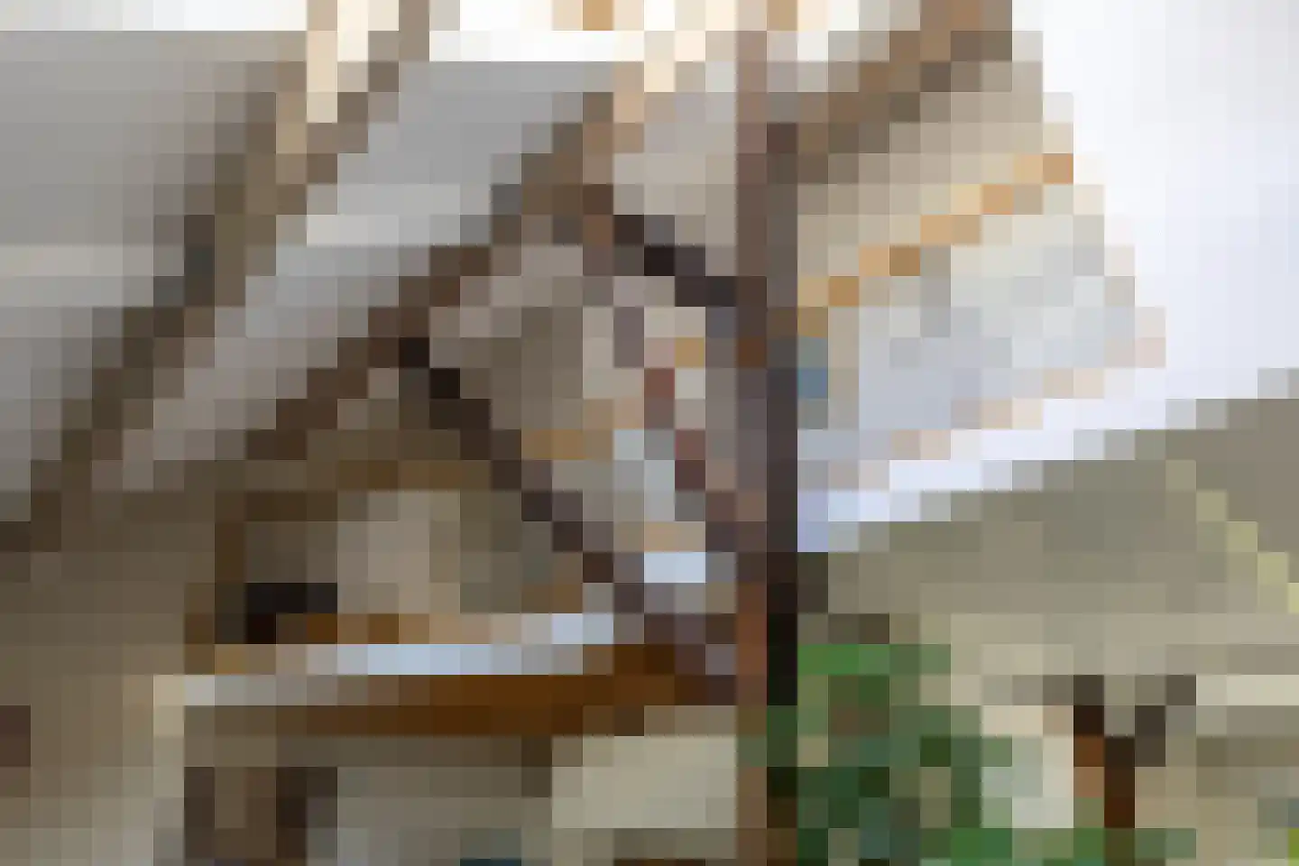 8e Wijk 8 Oudehorne thumbnail 57