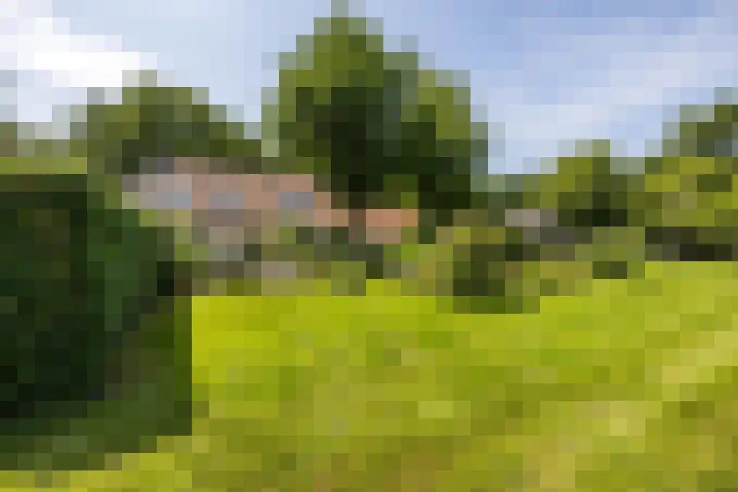 8e Wijk 8 Oudehorne thumbnail 6