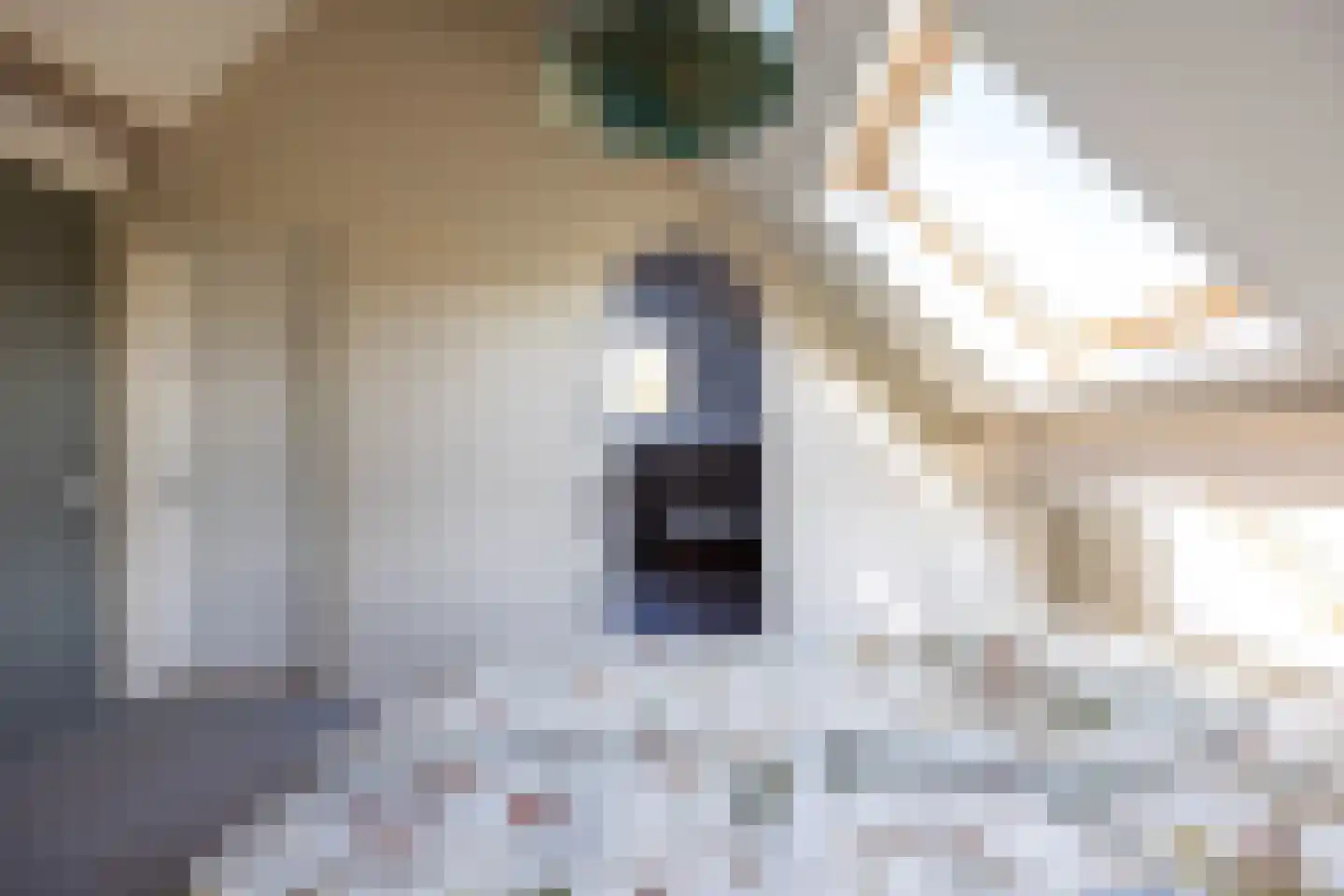 8e Wijk 8 Oudehorne thumbnail 60