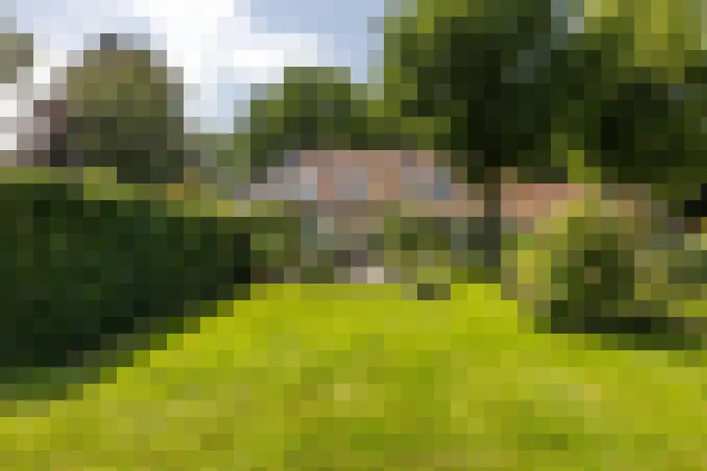 8e Wijk 8 Oudehorne thumbnail 7