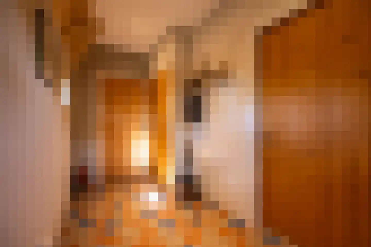 8e Wijk 8 Oudehorne thumbnail 76