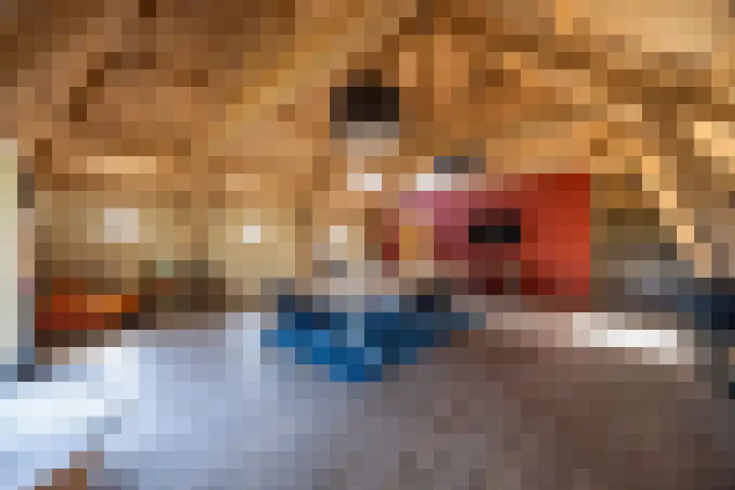 8e Wijk 8 Oudehorne thumbnail 81
