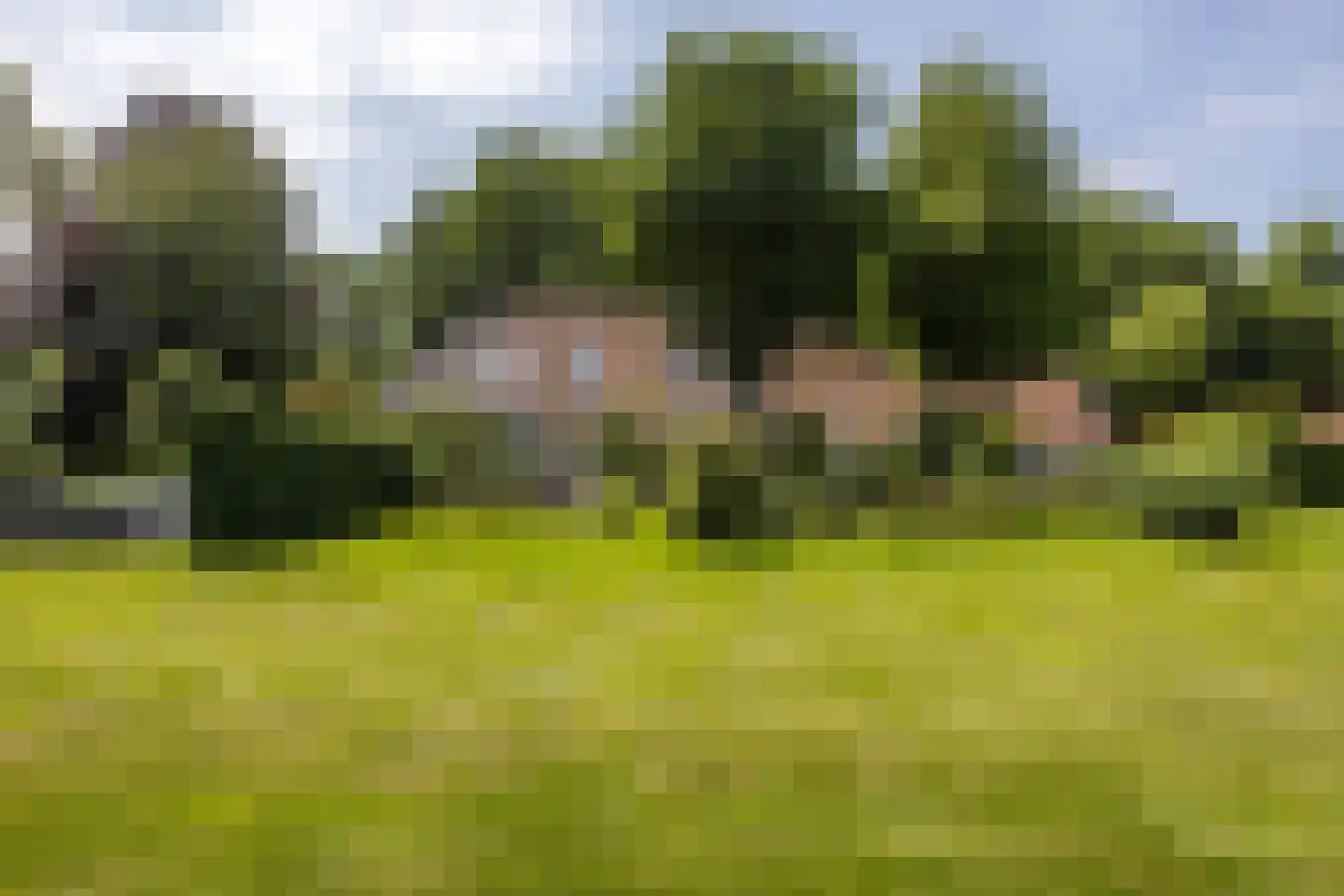 8e Wijk 8 Oudehorne thumbnail 84