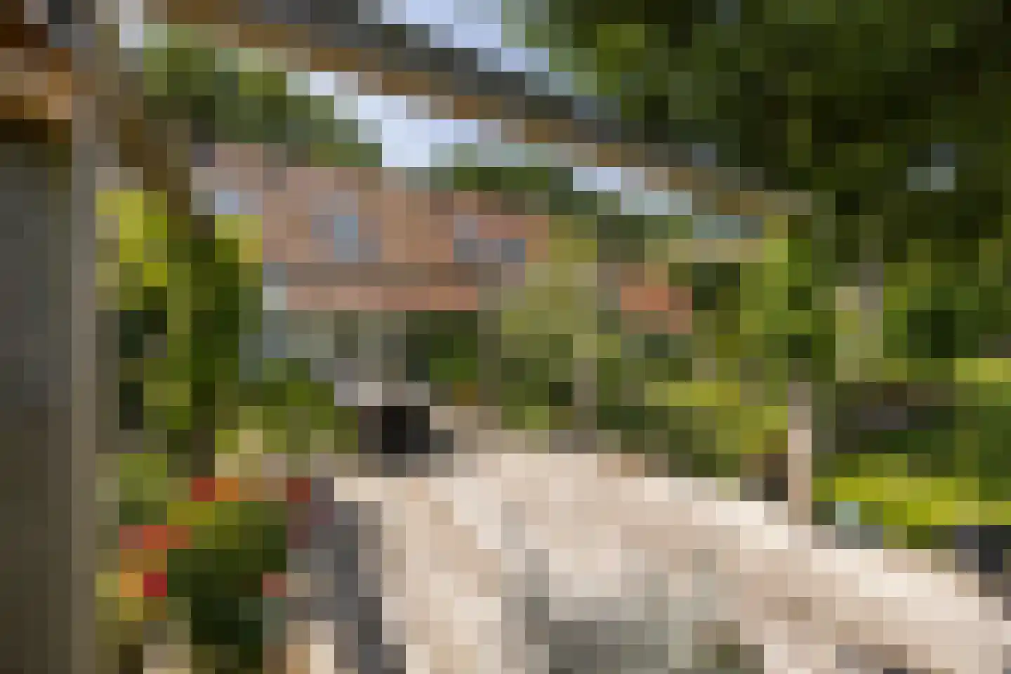 8e Wijk 8 Oudehorne thumbnail 9