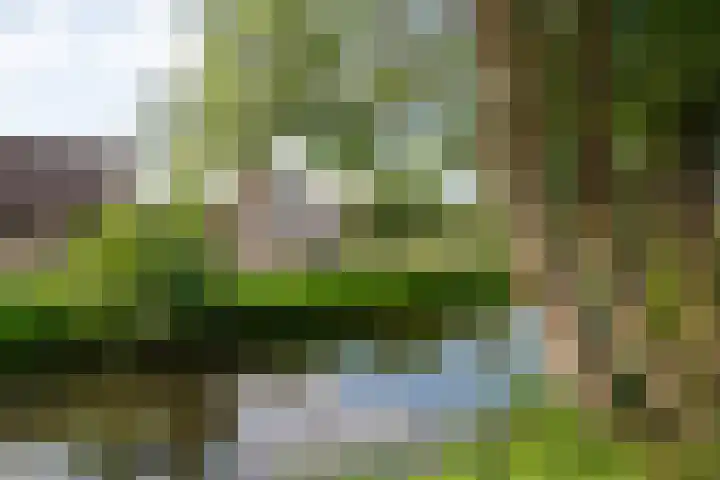 A 146 Ottoland thumbnail 24