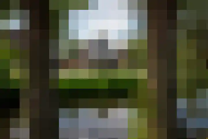 A 146 Ottoland thumbnail 26