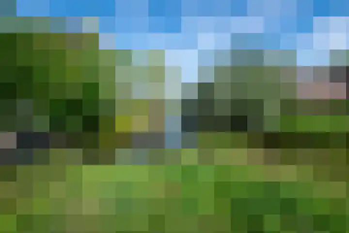 A 146 Ottoland thumbnail 28