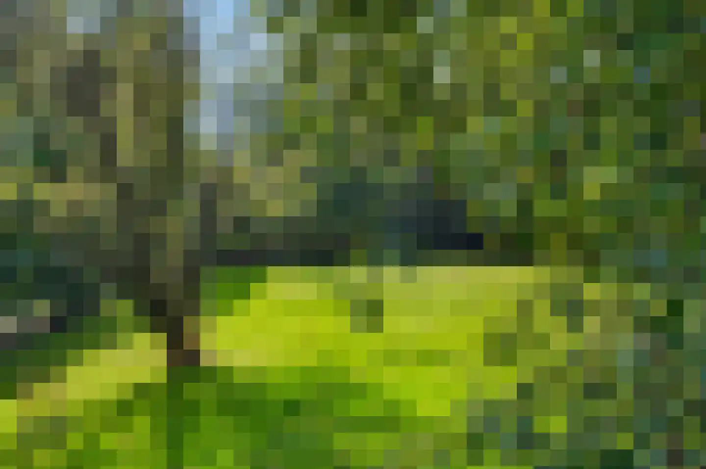 A 325 325 Elst thumbnail 10