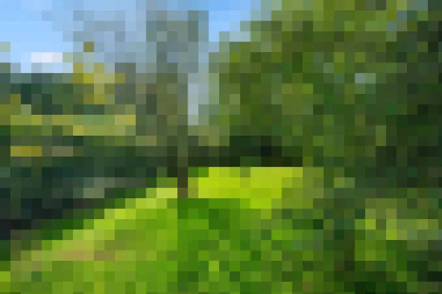 A 325 325 Elst thumbnail 11