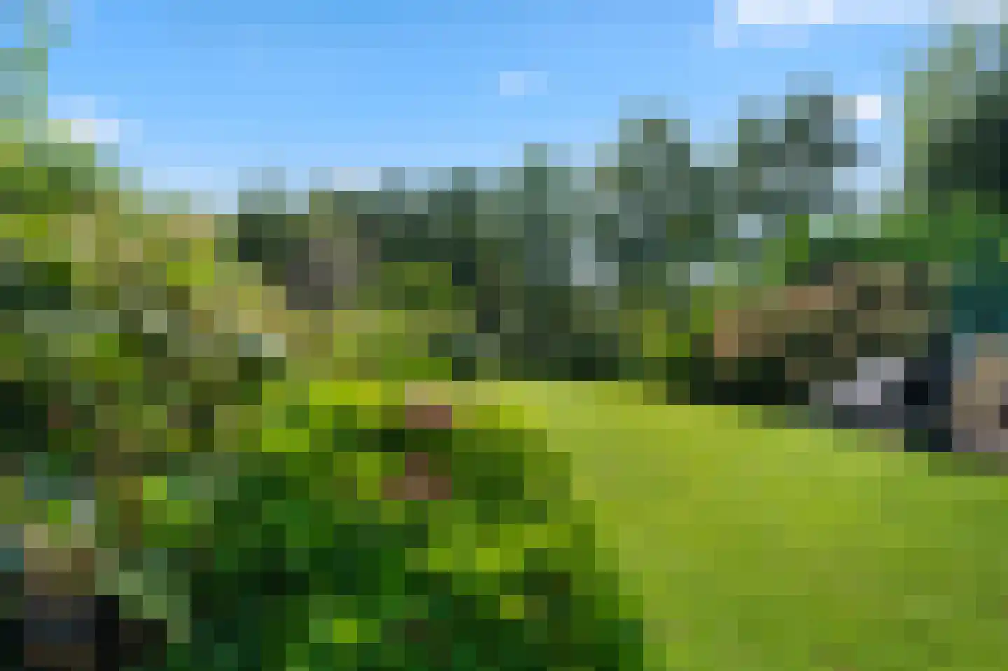 A 325 325 Elst thumbnail 12