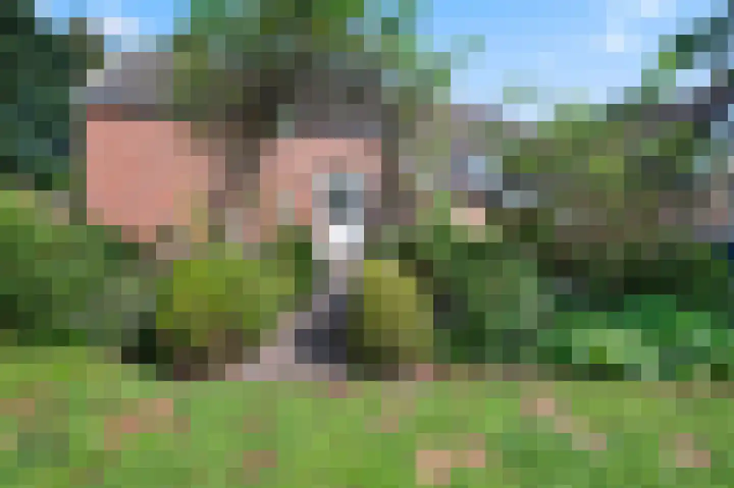 A 325 325 Elst thumbnail 13