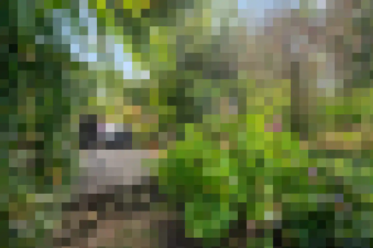 A 325 325 Elst thumbnail 14