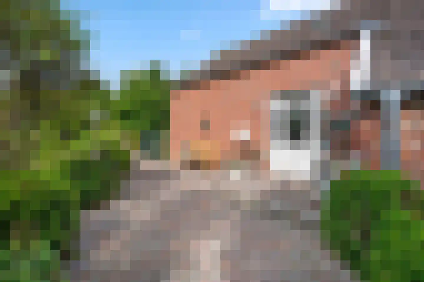 A 325 325 Elst thumbnail 15