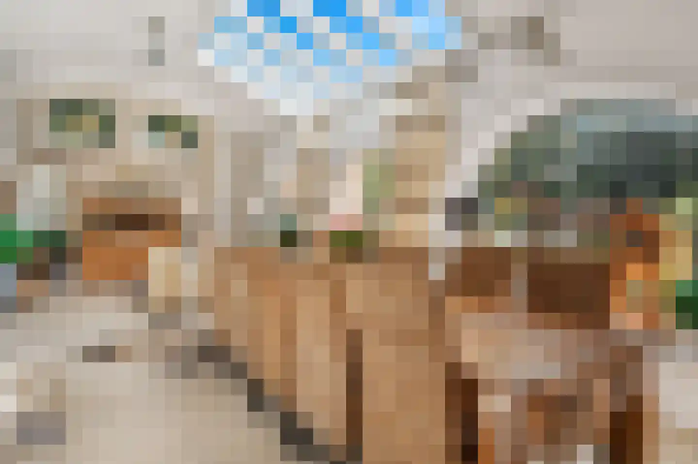 A 325 325 Elst thumbnail 24