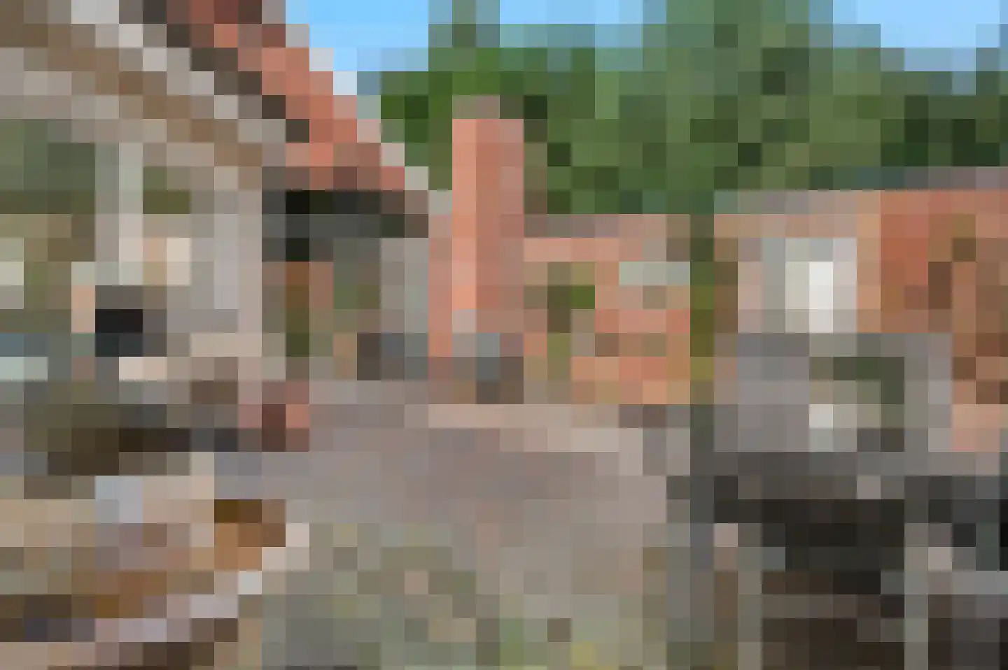 A 325 325 Elst thumbnail 27