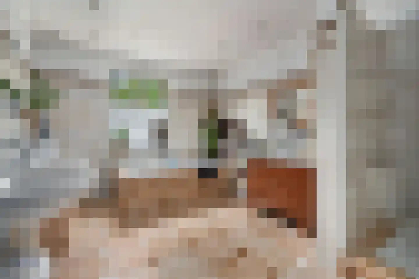 A 325 325 Elst thumbnail 34